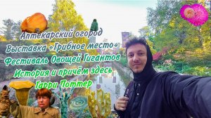 Аптекарский огород. Выставка «Грибное место». Фестиваль Овощей Гигантов. История