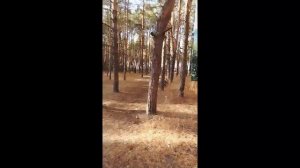 Жизнь это миг