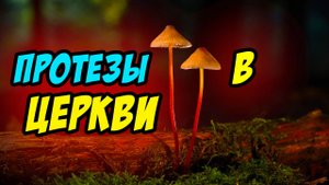 Протезы в церкви - Василий Савич. Христианские проповеди
