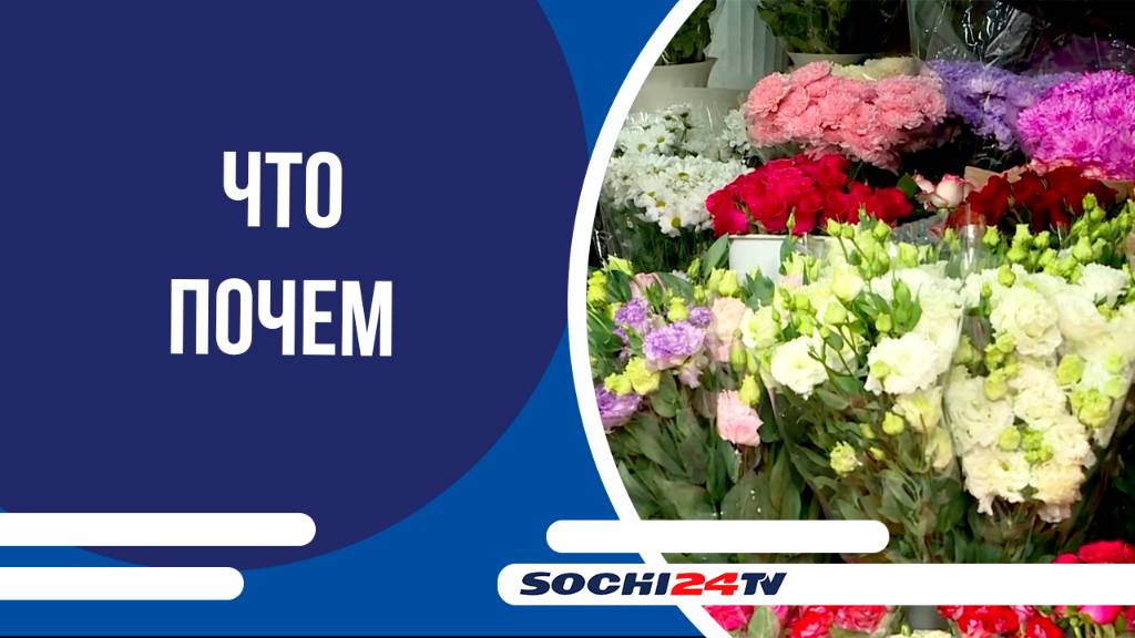 Цветы осенью: ЧТО ПОЧЕМ на Центральном рынке Сочи