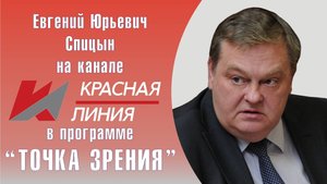 "Система не отпустит?". Е.Ю.Спицын на канале Красная линия в программе "Точка зрения