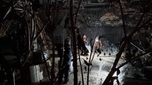 Концерт Андрея Поповского и Сони Скобелевой в  Каварга Ските 2025