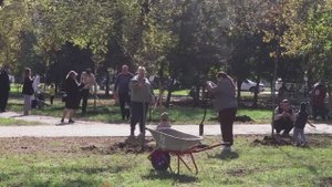 В Армавире в рамках проекта Наше дерево высадят более 300 деревьев в парке Воробьева