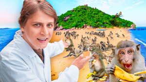 НА ОСТРОВЕ ДИКИХ ОБЕЗЬЯН!