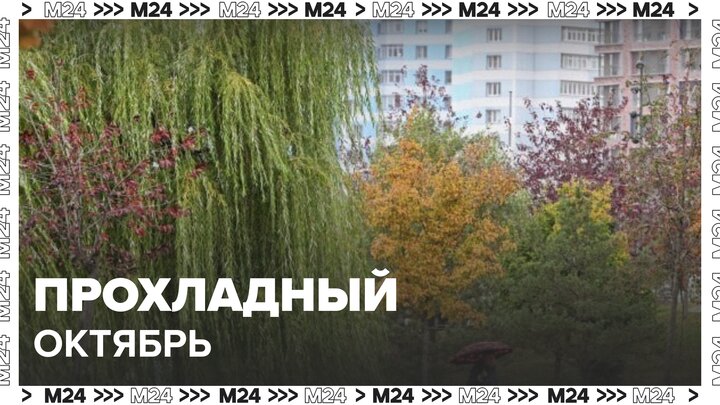 Более половины месячной нормы осадков выпало в Москве с начала октября - Москва 24