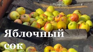 В Станице Луганской будут выпускать сок в тетрапаках