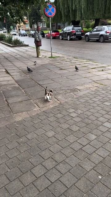 Тренируется 😁😁😁