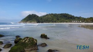 TESH - You Can Not Escape Us