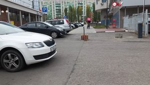 Пересадила клубнику. Ездили в больницу, сдали много анализов. Сделали УЗИ почек и сердца.