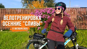 Велотренировка "Осенние сливы". Зачем велотуристы катают по 100 км?