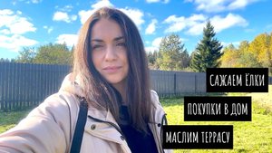 Обработали пол на террасе / Покупки в дом / Посадили ёлочки / Готовим в аэрогриле