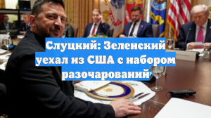 Слуцкий: Зеленский уехал из США с набором разочарований