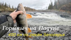Рыбалка у водопада Тимана-1. Народная рыба и монстры в пене.