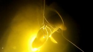 Был отличный октябрьский вечер!..