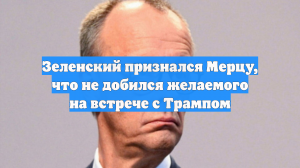 Зеленский признался Мерцу, что не добился желаемого на встрече с Трампом