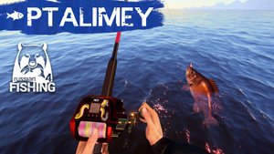 Добиваем морской тур, потом р.Белая🐟Русская рыбалка 4🐬Russian Fishing 4
