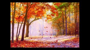 Не унылая пора..