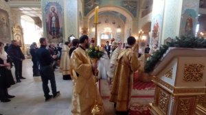 Митрополит Игнатий совершил таинство Венчания в Покровском соборе г.Саратова 22.01.2023