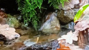 осознание себя