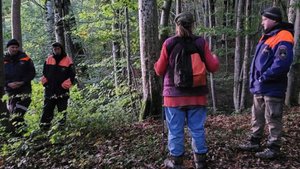 Пенсионерка ушла за грибами и заблудилась в Сочи. Спасатели искали ее всю ночь