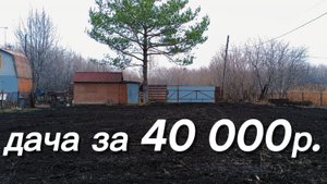 Купили заброшенную дачу на Авито. Установили шатёр. Обзор дачи.