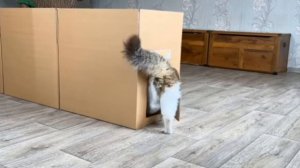 Построили Гигантский КАРТОННЫЙ ЛАБИРИНТ! ЭКСТРЕМАЛЬНЫЙ ПОБЕГ ЧЕРЕЗ КАРТОН