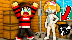 СКАЙ ЩЕНЯЧИЙ ПАТРУЛЬ СИЛЬНО ЗАБОЛЕЛА И ЕЙ НУЖНА ОПЕРАЦИЯ В МАЙНКРАФТЕ