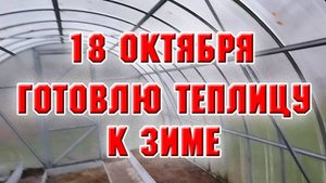 18 октября. Как я готовлю теплицу к зиме