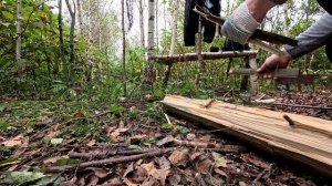 Мужик отшельник выживает в суровой лесотундре с бревном и колбасой