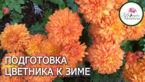 ГОТОВИМ ЦВЕТНИКИ К ЗИМЕ