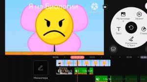 Я на разных уроках #bfdi flower