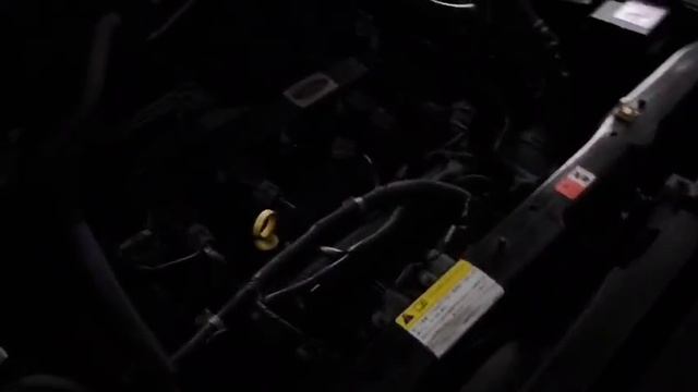 WhatsApp Video 2025-10-18 at 09.56.40