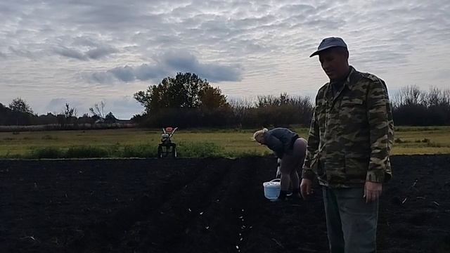 18-10-2025 ПОСАДКА ОЗИМОГО ЧЕСНОКА.