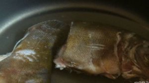 Русская уха