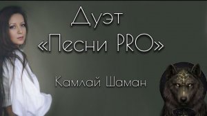 Камлай Шаман | автор Татьяна Лебедева