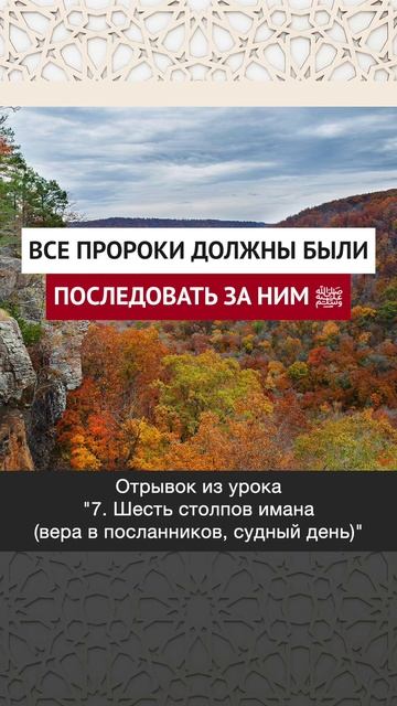 Все пророки должны были последовать за ним || Динар абу Идрис #ислам #факты #истина #коран #аллах