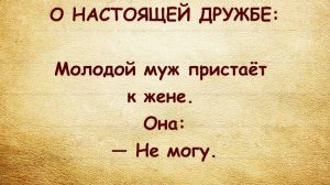 "О настоящей дружбе" и другие анекдоты. Юмор. Развлечения.