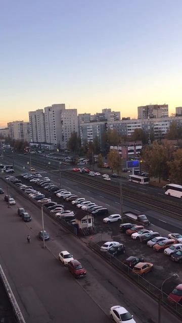 Санкт-Петербург. 18.10.2025. Утро Петербурга. Золото осени на проспекте Энгельса. Эпизод 2