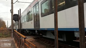 Иволга на Гагаринской