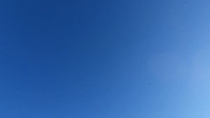 18.10.25 г. Андижанские голуби (3)