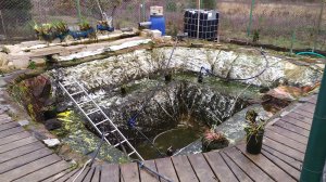 Готовлю пруд к зиме. Осенняя очистка пруда.