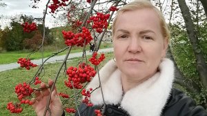 Посадила чеснок. Немного о комиссии МСЭК. Попали на распродажу, что купили там. Костя и Lego.