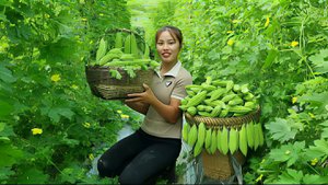 Собираю горькую дыню и приношу ее на рынок для продажи. Забочусь о домашнем скоте. Вьетнам