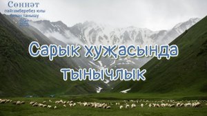 Сарык хуҗасында тынычлык | Рамил Гәйнетдинов