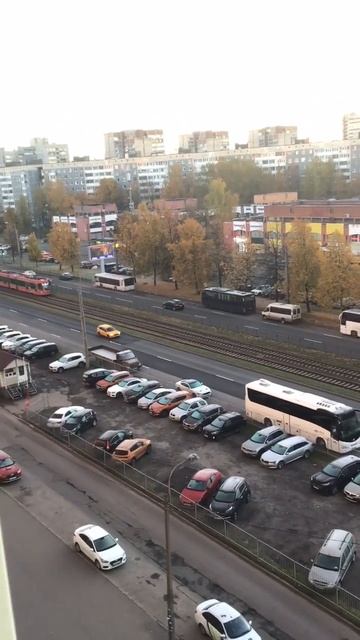 Санкт-Петербург. 18.10.2025. Утро Петербурга. Золото осени на проспекте Энгельса. Эпизод 3