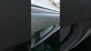 еду по Петербургу после своего кружка по насекомым