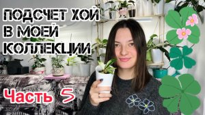 Считаем хойи в моей коллекции. Часть 5.
