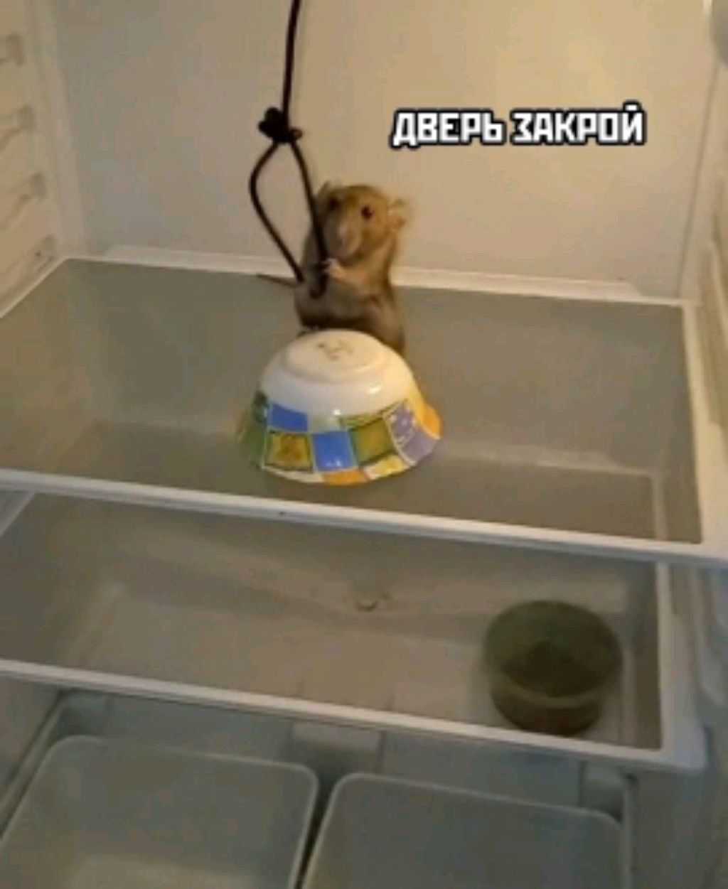 о себе смотреть онлайн