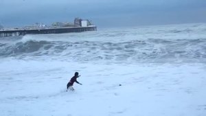 настоящие супергерои