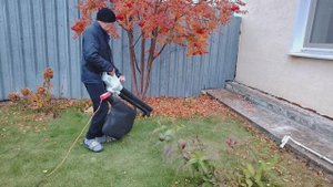 18. 10. 2025г. 2 часть
Вышли в сад поработать, обрезала хосты.
Обычная жизнь в селе
